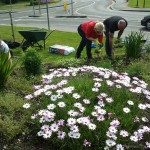 1798 Street Flowerbeds