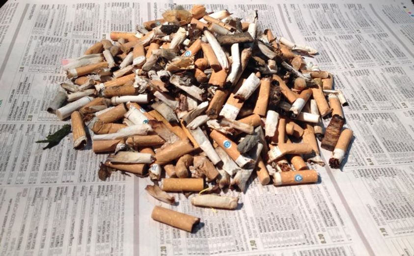 538butts