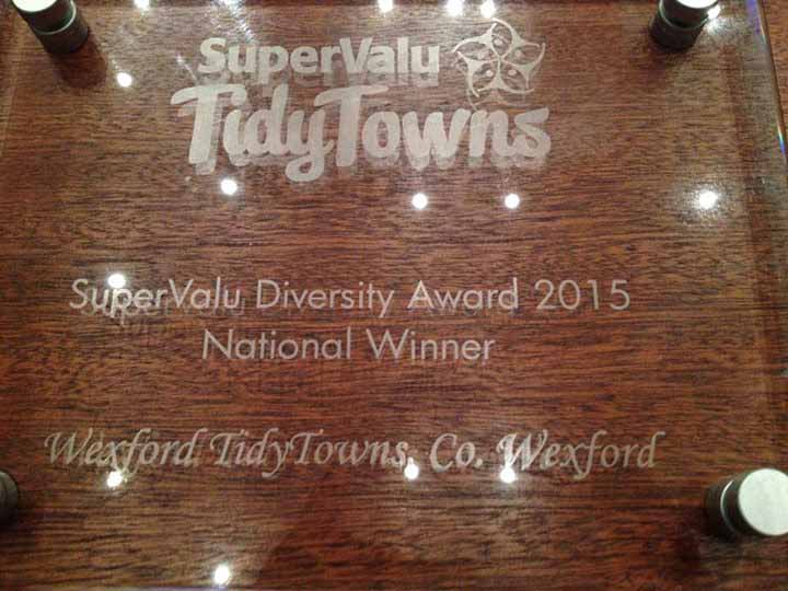 DiversityAward15