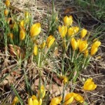 biodiversityweek