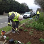 Flowerbeds