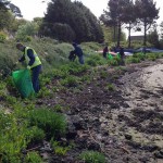 kaatstrand_may15