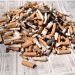 538butts