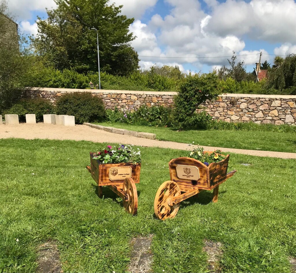 Selskar College Wheelbarrow planters